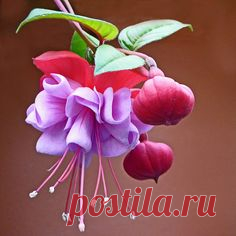 (271) Pinterest • Всемирный каталог идей