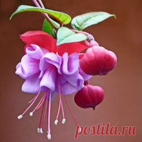 (271) Pinterest • Всемирный каталог идей