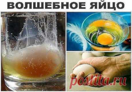 Волшебное яйцо!!! СНЯТИЕ НЕГАТИВА С ЧЕЛОВЕКА И ЛЕЧЕНИЯ НЕСЛОЖНЫХ БОЛЕЗНЕЙ СЫРЫМ ЯЙЦОМ. .Читать продолжение: ►►►  https://tolkointeresnoe.blogspot.ru/2015/01/blog-post_87.html