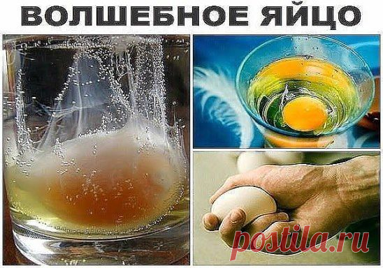 Волшебное яйцо!!! СНЯТИЕ НЕГАТИВА С ЧЕЛОВЕКА И ЛЕЧЕНИЯ НЕСЛОЖНЫХ БОЛЕЗНЕЙ СЫРЫМ ЯЙЦОМ. .Читать продолжение: ►►►  http://tolkointeresnoe.blogspot.ru/2015/01/blog-post_87.html
