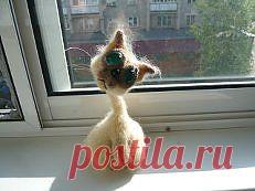 я зыру глаза пузырю