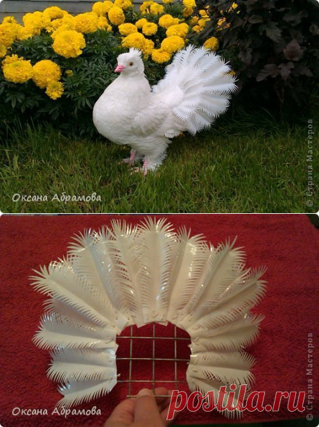 Голубок из пластиковых бутылок — DIYIdeas