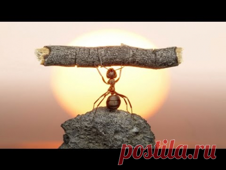 Как преодолеть дурную карму! Торсунов О. Г.