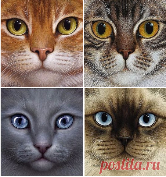 Рисунки карандашом.