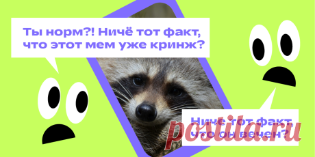 Популярные мемы, которые помогают лучше понимать подростков Свежие мемы 2025 года. Узнайте, что представляют современные мемы. Как популярные мемы помогают родителям и учителям лучше понять подростков. Примеры, значения и роль мема в культуре молодёжи.