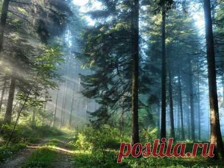 Фотографии на стене сообщества – 58 801 фотография | ВКонтакте