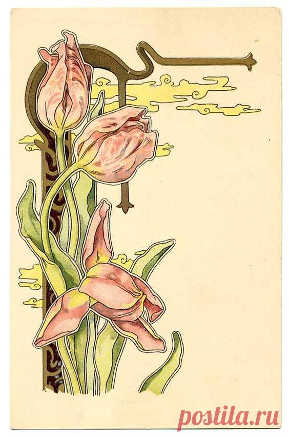 (723) art nouveau flowers | Flower Illustrations