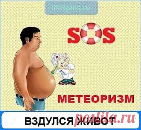 Вздулся живот, многие люди после употребления пищи сталкиваются с такими неприятностями. Переизбыток газов  ключевая причина вздувшегося живота.

При норме, большинство лишних газов поглощается аэробами, бактериями, живущими в кишечнике. Когда рушится равновесие между бактериями, потребляющими газы и продуцирующими, то имеет место быть явление, именуемое метеоризм.