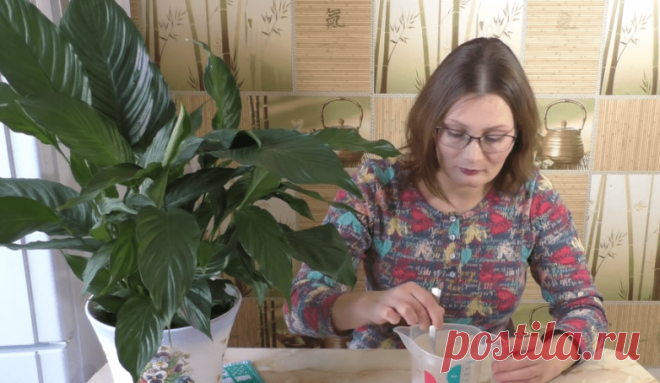 Супермощная подкормка для комнатных цветов / Домоседы