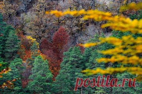 Обнаруженные российскими охотниками «волосы йети» заинтересовали ученых. Ученые Института общей генетики РАН заинтересовались находкой ямальских охотников, утверждающих, что они обнаружили «волосы йети». Свое открытие охотники запечатлели на камеру, обратив внимание на «нечеловеческие» следы в лесу и испачканные глиной деревья. По их утверждению, это мог сделать снежный человек.