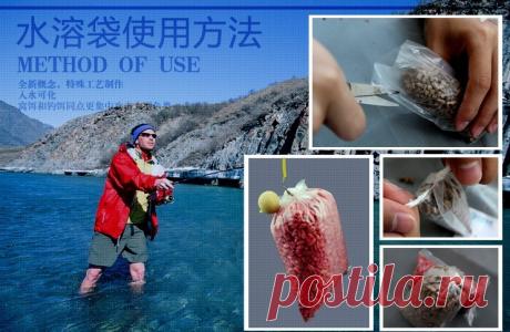 50 шт. пва , доступные карп рыболовные снасти пва мешков сетки для ловли карпа грубой Boilie осадок приманки 7 * 14 см купить на AliExpress