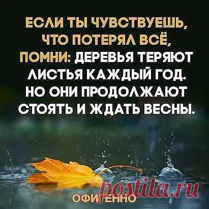 Яндекс.Почта — бесплатная и надежная электронная почта
