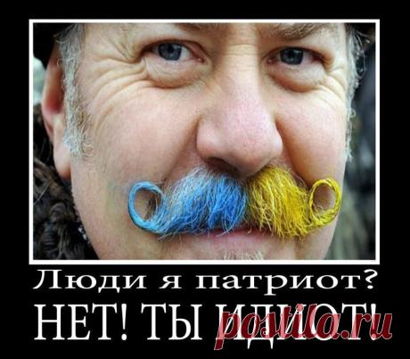 (7) Одноклассники