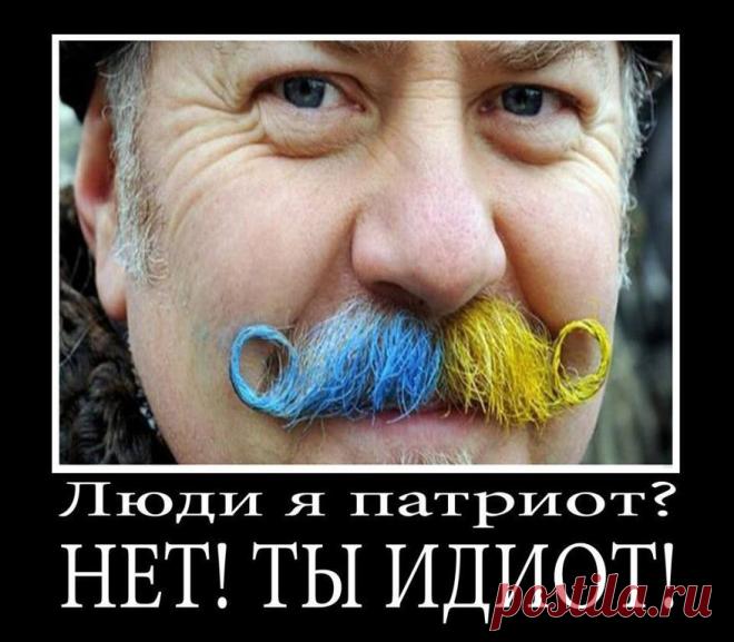 (7) Одноклассники