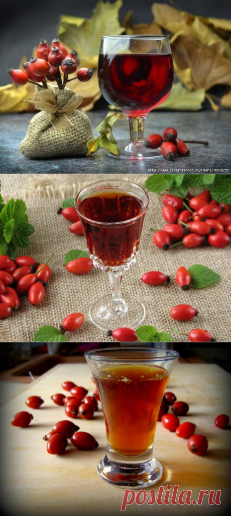 Шипов бояться – наливки не пить! Готовим вкуснейшую шиповниковую наливку.