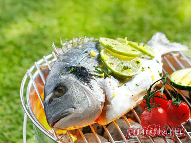 Меню для пикника: мясо, рыба и овощи - tochka.net