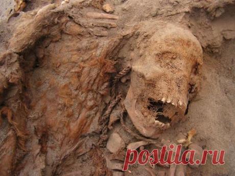 На севере Перу обнаружено место самого массового в мире жертвоприношения детей | История