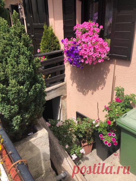 Красивые идеи оформления маленького дачного участка: цветочные композиции на входе в дом Садовую территорию на большом участке легко и просто обустроить. Нарядные клумбы, фонтанчики, альпийские горки смотрятся красиво и живописно на дачном участке. Но что делать владельцам нескольких...