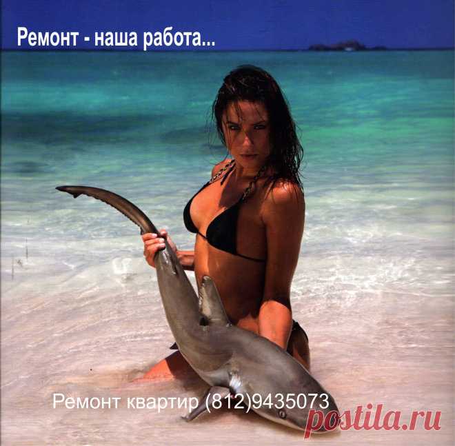 Петербурге. Разный уровень отделки от Эконом до Премиум.
Цена от 3000- 9000 руб / м2 ремонтируемой площади.
Большой опыт капитального ремонта старого фонда. (812) 2445086 почта для заявок: 9435073@gmail.com