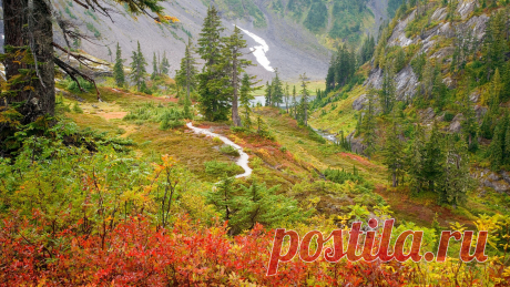 Скачать обои осень, деревья, горы, река, ущелье, Россия, кусты, Дальний Восток, раздел природа в разрешении 1920x1080