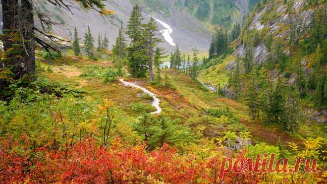 Скачать обои осень, деревья, горы, река, ущелье, Россия, кусты, Дальний Восток, раздел природа в разрешении 1920x1080