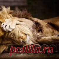 ELREYDELMUNDO1ORIGINAL - みんなの写真コミュニティ「フォト蔵」 ELREYDELMUNDO1ORIGINAL