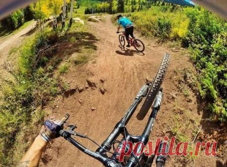 Не живи воспоминаниями. У тебя вся старость на это. Делай воспоминания! / Райская пища