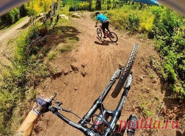 Не живи воспоминаниями. У тебя вся старость на это. Делай воспоминания! / Райская пища