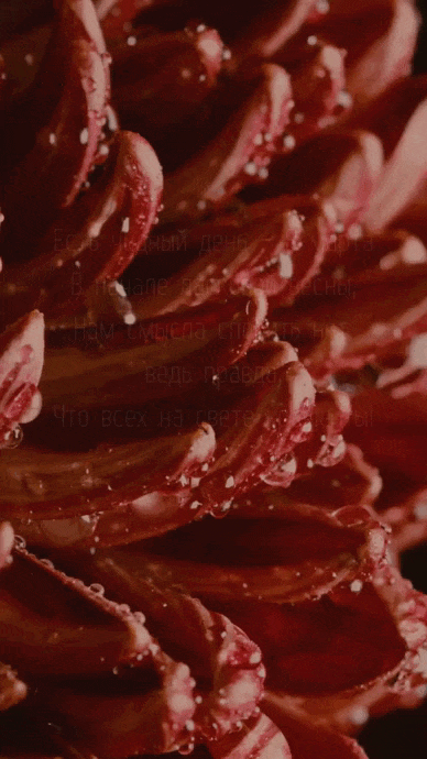 Есть чудный день (С 8 марта открытка 1): Бесплатные картинки &#8226; Открытки Топ