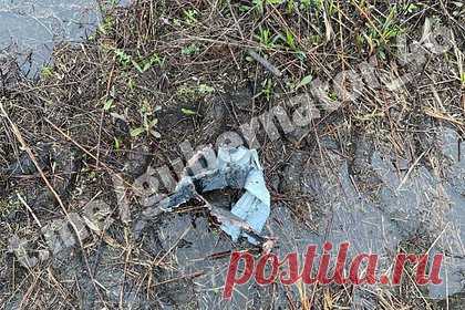 Появились фото обломков сбитого в Курской области беспилотника. Губернатор Курской области Роман Старовойт в своем Telegram-канале опубликовал снимки, на которых запечатлены обломки сбитого пограничниками беспилотного летательного аппарата (БПЛА). На фото видны небольшие куски разрушенного беспилотника. На одном из элементов виднеется обгоревшая часть инструкции.