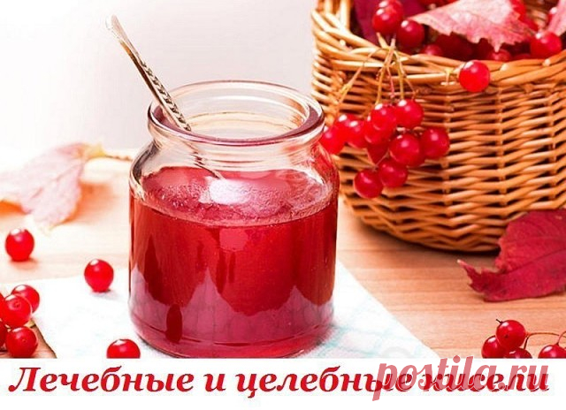 ЛЕЧЕБНЫЕ И ЦЕЛЕБНЫЕ КИСЕЛИ

Моя коллега захотела быстро сбросить лишний вес и решила прибегнуть к старым народным рецептам. Она стала готовить себе разнообразные кисели. Через две недели я увидел ее похудевшей и помолодевшей.

- Каждый вечер, вместо ужина, пила кисель - овсяный, молочный, малиновый и даже цитрусовый. И вот результат!

Я, может быть, и не обратил бы на этот факт внимания - мало ли диет на свете! Но когда другая моя знакомая, страдающая заболе­ванием печени,...
