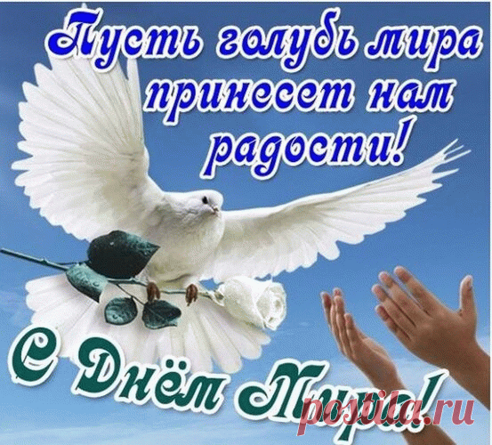 «Миру Мир!» кричали раньше.
И кричать будут всегда.
Всем хотелось бы удачи.
И долой, долой война!