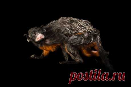 страницы которые создавались константина валерьевича сосницкого краснодар: 10 тыс изображений найдено в Яндекс.Картинках