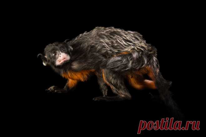 страницы которые создавались константина валерьевича сосницкого краснодар: 10 тыс изображений найдено в Яндекс.Картинках