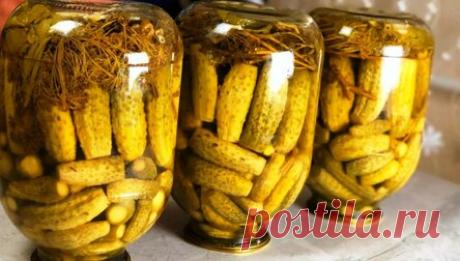 Без стерилизации: хрустящие огурчики на зиму. Хоть 100 банок закрывай