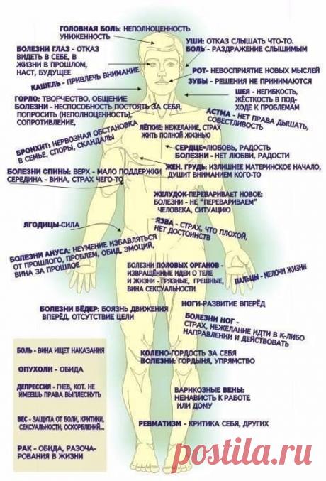 МЫСЛИ И ЗДОРОВЬЕ.
На что влияют наши мысли и заботы? 
Может ли это отразиться на нашем здоровье? 
Как избежать тех или иных болезней, думая правильно?