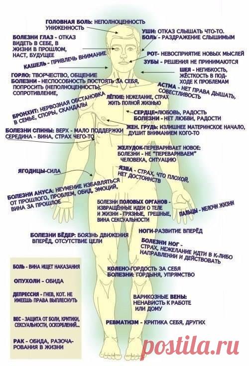МЫСЛИ И ЗДОРОВЬЕ.
На что влияют наши мысли и заботы? 
Может ли это отразиться на нашем здоровье? 
Как избежать тех или иных болезней, думая правильно?