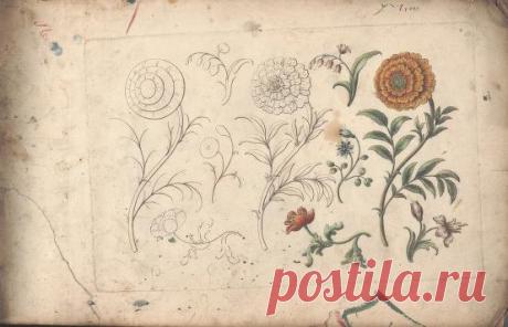 The florist, or, An extensive and curious collection of flowers, for the imitation of young ladies, either in drawing or in needle?workby A. Heckle. : Heckel, Augustin, : Free Download, Borrow, and Streaming : Internet Archive