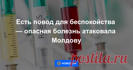 Есть повод для беспокойства — опасная болезнь атаковала Молдову В последние годы в Молдове сохраняется напряженная ситуация, связанная с бешенством, республика занимает второе место в Европе по распространению этого вируса.