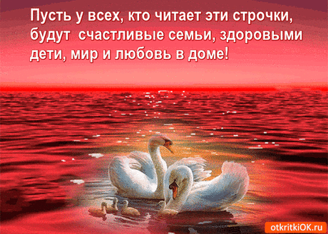 ВОТ ОНО СЧАСЬЕ-НЕТ ЕГО КРАШЕ!!!