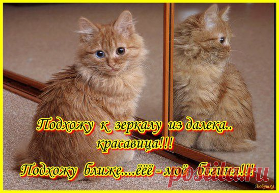(2) Одноклассники