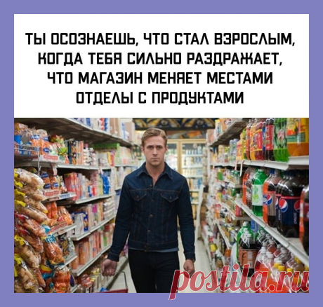Веселые истории о нас № 267 - Ветер Вольный — КОНТ