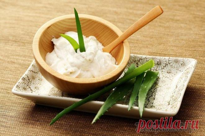 Маска из алоэ для лица – лучшее косметическое средство с подоконника