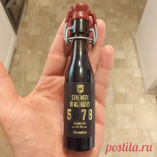 Самое крепкое пиво в мире. Водка по сравнению с ними - легкая водичка | Пиво - твой друг | Яндекс Дзен