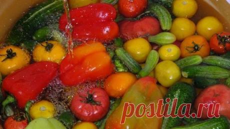 Рецепт вкусного салата на зиму