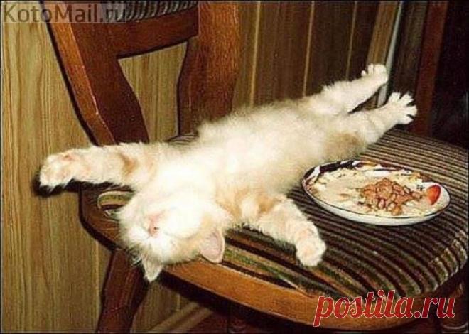 После трапезы