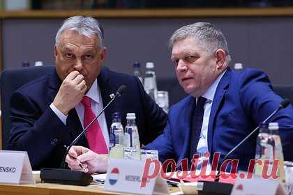 В ЕС захотели надавить на две страны ради санкций против России