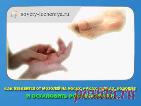Subscribe.Ru :: Информационный Канал :: Подписчикам