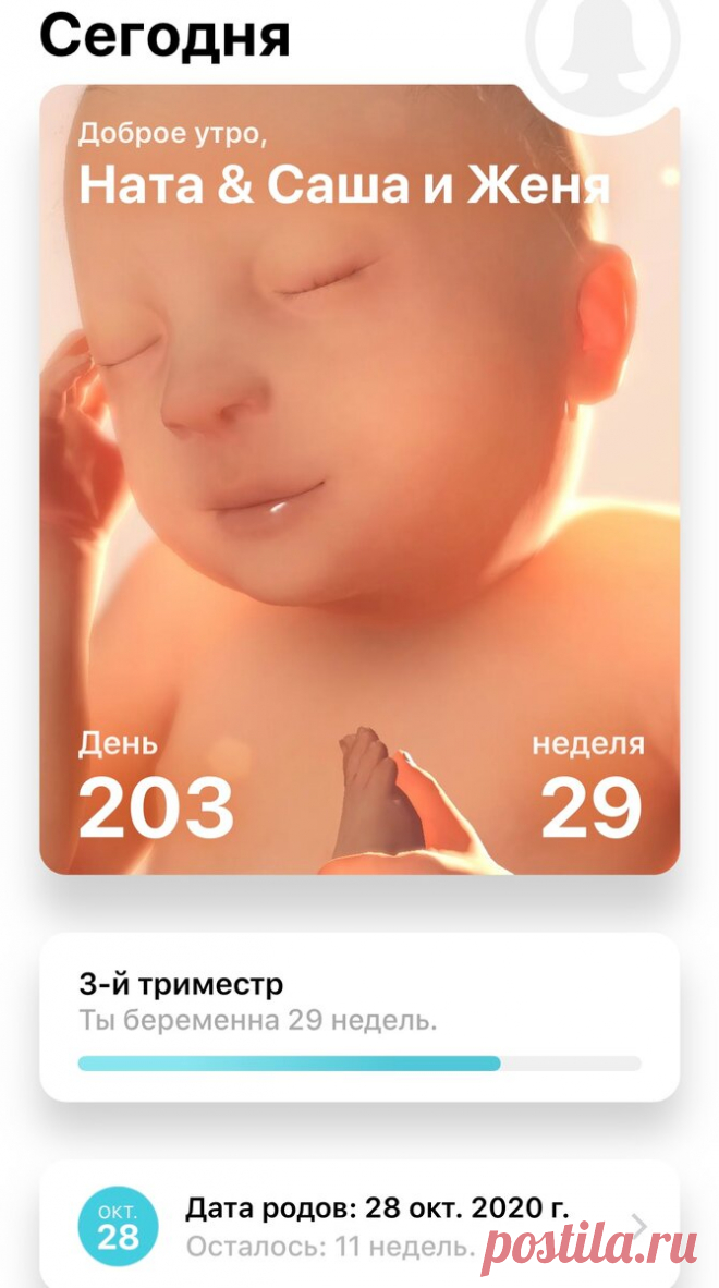 29 недель. Смотрим куда пропала 28 неделя | Жизнь Вупсеня и Пупсеня | Яндекс Дзен