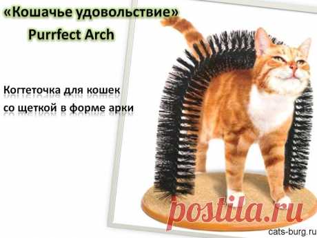 Когтеточка с щеткой-аркой для кошек «Кошачье удовольствие» Purrfect Arch - решит вааши проблемы - лишняя шерсть в квартире и ободранная мебель | Город кошек